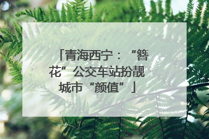 青海西宁：“簪花”公交车站扮靓城市“颜值”