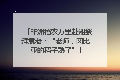非洲稻农万里赴湘祭拜袁老：“老师，冈比亚的稻子熟了”