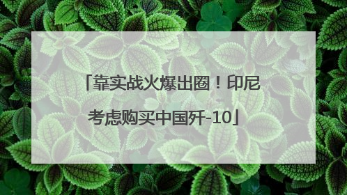 靠实战火爆出圈！印尼考虑购买中国歼-10