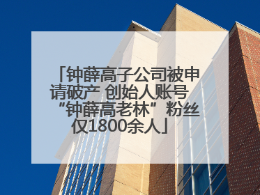 钟薛高子公司被申请破产 创始人账号“钟薛高老林”粉丝仅1800余人
