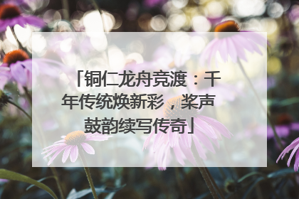 铜仁龙舟竞渡：千年传统焕新彩，桨声鼓韵续写传奇