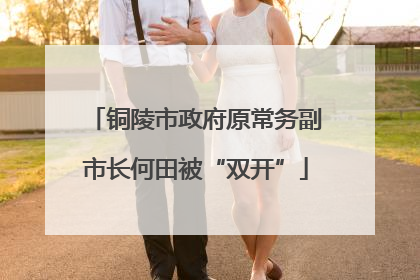 铜陵市政府原常务副市长何田被“双开”