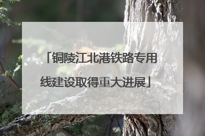 铜陵江北港铁路专用线建设取得重大进展