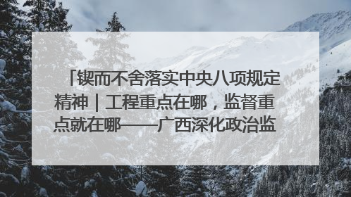 锲而不舍落实中央八项规定精神｜工程重点在哪，监督重点就在哪——广西深化政治监督护航平陆运河建设