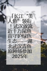 长江“美人鱼”领衔！武汉放流近千万尾鱼苗守护绿色生态——湖北武汉青鱼原种场参加2025年“全国放鱼日”增殖放流活动