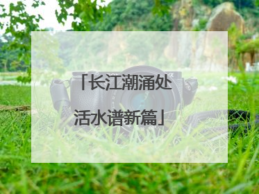 长江潮涌处 活水谱新篇