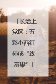 长治上党区：五彩小西红柿成“致富果”