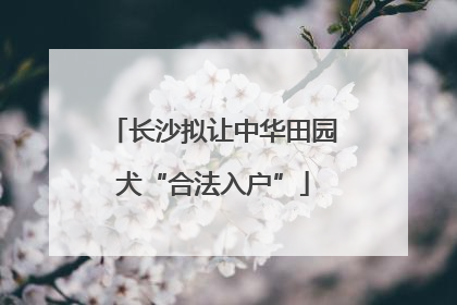 长沙拟让中华田园犬“合法入户”