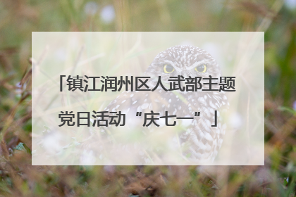 镇江润州区人武部主题党日活动“庆七一”