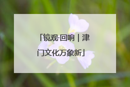 镜观·回响｜津门文化万象新