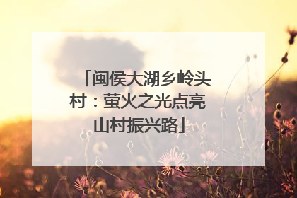 闽侯大湖乡岭头村：萤火之光点亮山村振兴路