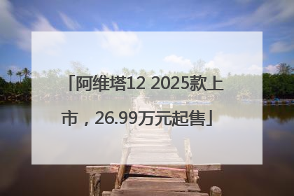 阿维塔12 2025款上市，26.99万元起售