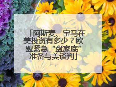 阿斯麦、宝马在美投资有多少？欧盟紧急“盘家底”准备与美谈判