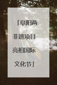 阜阳两非遗项目亮相国际文化节