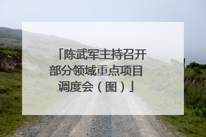 陈武军主持召开部分领域重点项目调度会（图）