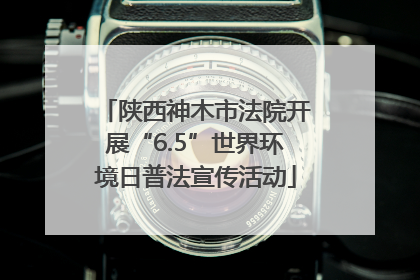 陕西神木市法院开展“6.5”世界环境日普法宣传活动