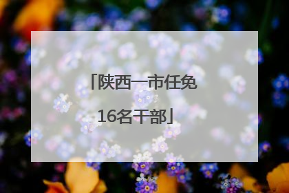 陕西一市任免16名干部