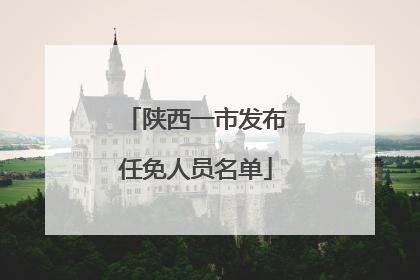陕西一市发布任免人员名单