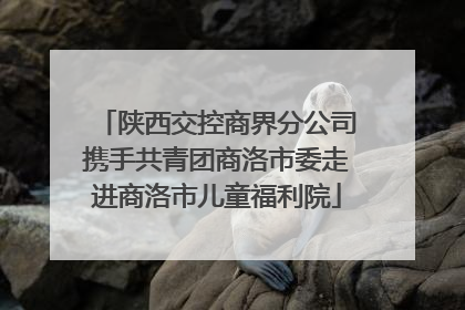 陕西交控商界分公司携手共青团商洛市委走进商洛市儿童福利院