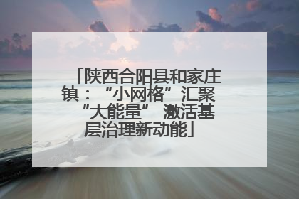 陕西合阳县和家庄镇：“小网格”汇聚“大能量” 激活基层治理新动能