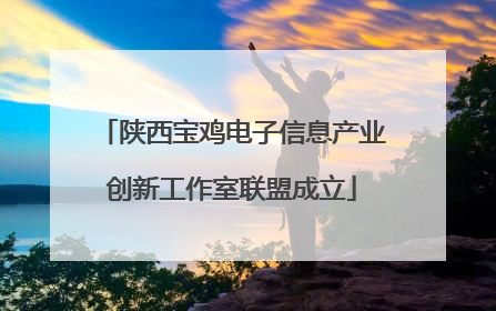 陕西宝鸡电子信息产业创新工作室联盟成立