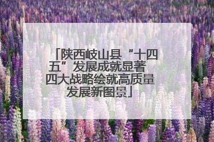 陕西岐山县“十四五”发展成就显著 四大战略绘就高质量发展新图景
