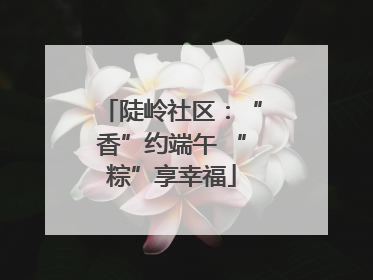 陡岭社区：“香”约端午 “粽”享幸福