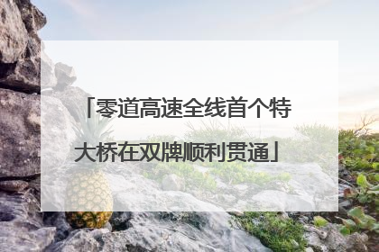 零道高速全线首个特大桥在双牌顺利贯通