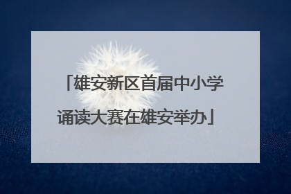 雄安新区首届中小学诵读大赛在雄安举办