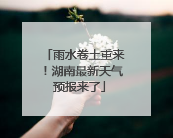 雨水卷土重来！湖南最新天气预报来了