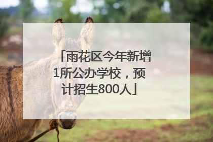 雨花区今年新增1所公办学校，预计招生800人