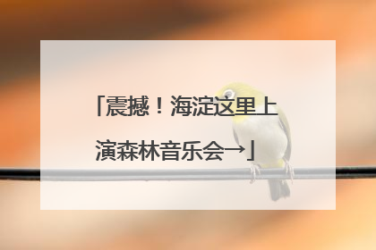 震撼！海淀这里上演森林音乐会→