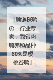 顺链探鸭④｜行业专家：我省肉鸭养殖品种80%是樱桃谷鸭