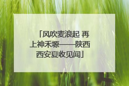 风吹麦浪起 再上神禾塬——陕西西安夏收见闻