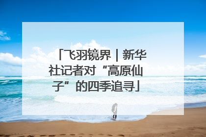 飞羽镜界｜新华社记者对“高原仙子”的四季追寻