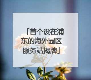 首个设在浦东的海外园区服务站揭牌