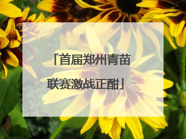 首届郑州青苗联赛激战正酣