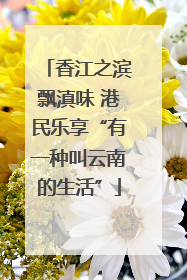 香江之滨飘滇味 港民乐享“有一种叫云南的生活”