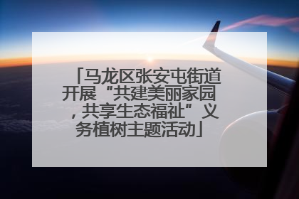 马龙区张安屯街道开展“共建美丽家园，共享生态福祉”义务植树主题活动