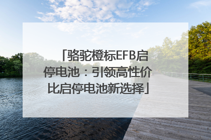 骆驼橙标EFB启停电池：引领高性价比启停电池新选择