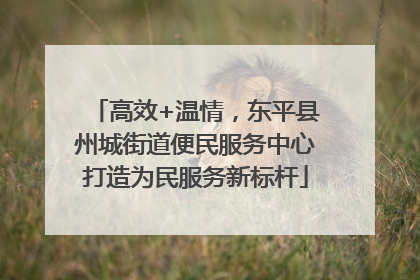高效+温情，东平县州城街道便民服务中心打造为民服务新标杆