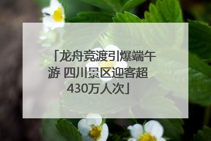 龙舟竞渡引爆端午游 四川景区迎客超430万人次