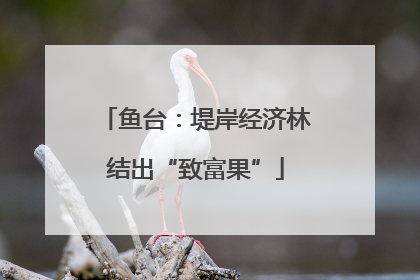 鱼台：堤岸经济林结出“致富果”