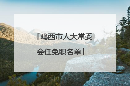鸡西市人大常委会任免职名单