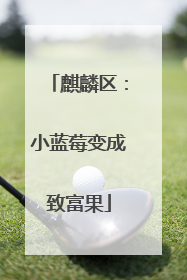 麒麟区：小蓝莓变成致富果
