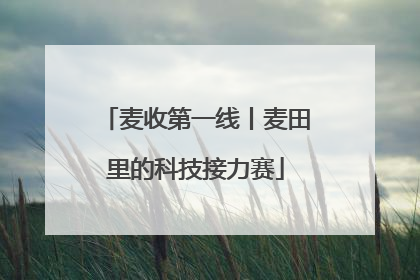 麦收第一线丨麦田里的科技接力赛