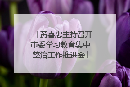 黄喜忠主持召开市委学习教育集中整治工作推进会