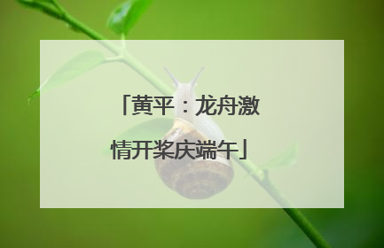 黄平：龙舟激情开桨庆端午