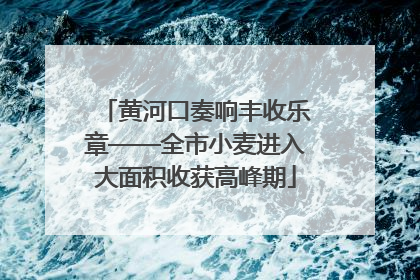 黄河口奏响丰收乐章——全市小麦进入大面积收获高峰期