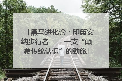 黑马进化论：印第安纳步行者——一支“颠覆传统认识”的劲旅